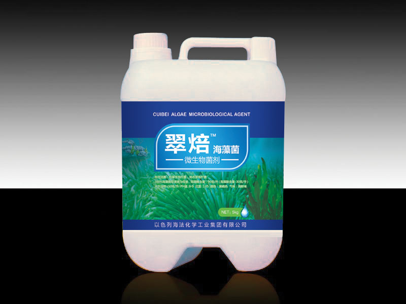 �䱺�����